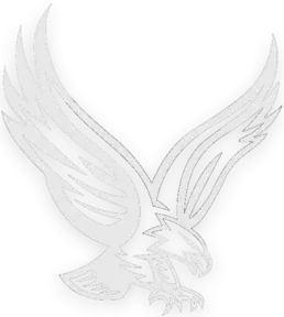 Imagen Eagle